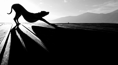 Christine Frick, sun salutation - Italy, Europe)