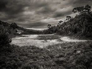 Photo art by Jörg Faißt: gloomy Highlands with clouds and trees