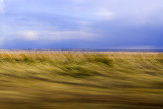 Franzel Drepper, Road trip - Nevada - United States, North America)