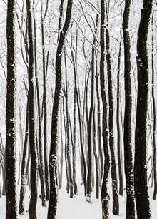 Heiko Gerlicher, monochrome Eiszeit II (Germany, Europe)