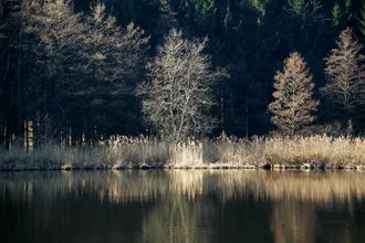 Photo art by Ernst Pini: tranquil forest lake with gentle water reflections