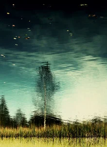 Photo art by Manuela Deigert: calm reflection of a moor with a birch tree