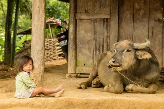 Fotokunst von Steffen Rothammel: Kinder und Kühe in ländlicher Umgebung in Vietnam