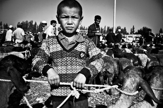 Brett Elmer, The next generation (China, Asien)