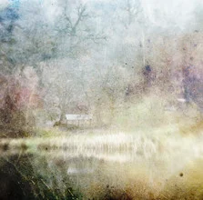 Photo art by Valentyn Kolesnyk: abstract representations of nature in soft colors
