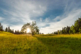 Photo art with warm sunlight over a grassland in Carinthia