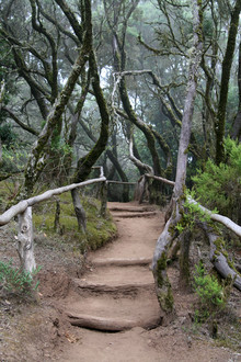 Jens Berger, La Gomera (Spain, Europe)