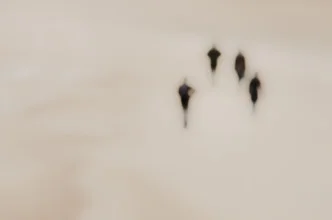 Strandläufer II - fotokunst von Gregor Ingenhoven