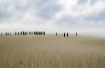 Jens Berger, North Sea Coast - Germany, Europe)