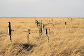 Fotokunst von Jens Berger: friedliche Küstenlandschaft mit Gras und Zaun