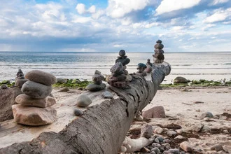 Fotokunst mit Steinen und einem Baum am Meer, ruhige Atmosphäre an der Ostsee.