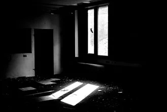 Photo art by Sascha Hoffmann-Wacker: bird in light symbolizing freedom.