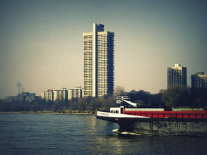 Anuschka Wenzlawski, Metropolis