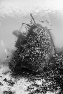 Photo of a diver in the Red Sea, surrounded by colorful fish and coral.