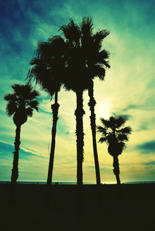 Michael Brandone, good old l.a. (United States, North America)