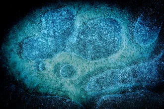 Photo art by Erwin Fischer: frozen air bubbles in an ice plate