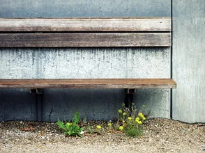Photo art by Anuschka Wenzlawski: flowers and weeds on a wooden bench in a somber setting