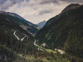 Fotokunst: Winding trail through trees in the mountains under a cloudy sky.