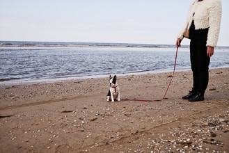 Simon Bode, We live on the leash of our senses.