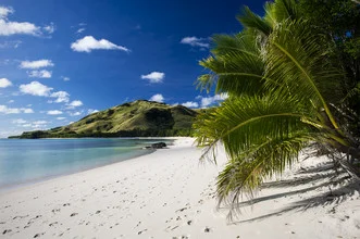 Photo art by Marcos Sobral: tropical beach with palm trees and calm water