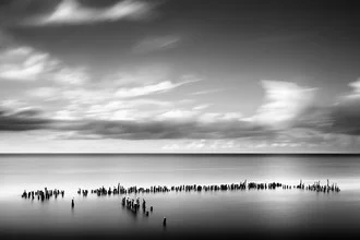Fotokunst von Oliver Buchmann: Kormorane am ruhigen Abendlicht an der Ostseeküste.