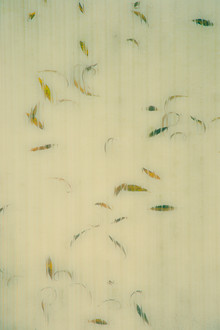 Erwin Fischer, Autumn - Germany, Europe)