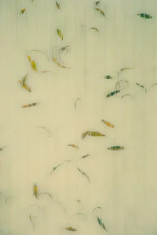 Photo art by Erwin Fischer: minimalist autumn scene with colorful leaves
