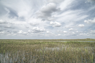 Michael Schulz-dostal, Florida V