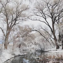 Beautiful photo art by Kevin Russ: snowy tree landscape with a calm river