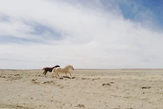 Photo art by Kevin Russ: wild horses running through the desert in Arizona.
