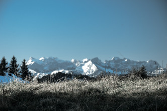 Gabriele Spörl, Alpenpanorama hinter Wiese