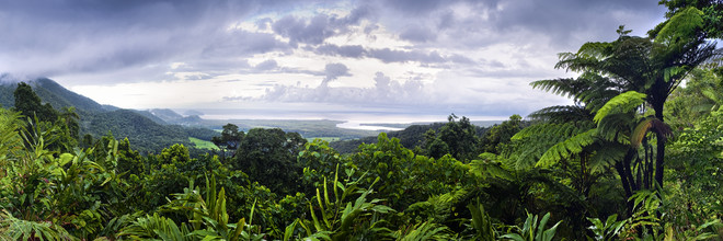 Franzel Drepper, Daintree forest cape tribulation - Australien, Australien und Ozeanien)