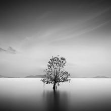 How Pin Tang, Life - Malaysia, Asia)
