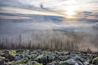 Stefan Schurr, Fog on the Lusen in Bavaria