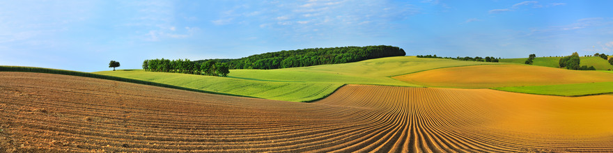 Hans Altenkirch, In the field (Germany, Europe)