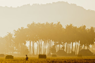 Marc Rasmus, Golden Walk
