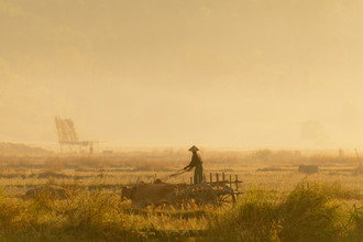 Marc Rasmus, Golden Morning