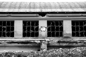 Fotokunst von Sven Lange: Urbanes Motiv mit Graffiti und einem wartenden Schwein
