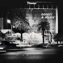 Ronny Ritschel, Flamingo - Las Vegas,* USA 2013 - United States, North America)
