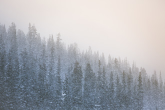Jan Eric Euler, it's dumping - Kanada, Nordamerika)
