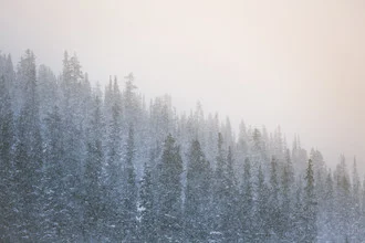 Fotokunst von Jan Eric Euler: verschneite Berge in der Winterlandschaft Kanadas