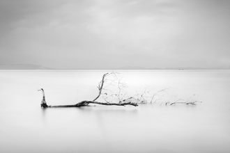 How Pin Tang, Sweet Lullaby (Malaysia, Asia)