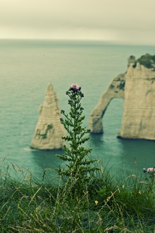 Thomas Hammer, Etretat (France, Europe)