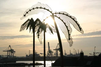 Photo art by Franz Walter: palm trees in Hamburg harbor, calm and inviting atmosphere.