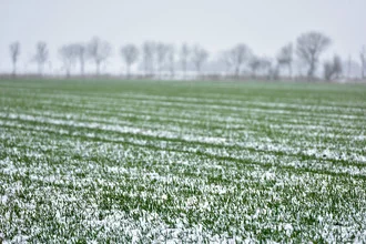 Photo art by Markus Hertrich: frozen landscape with snow and trees in St. Peter-Ording