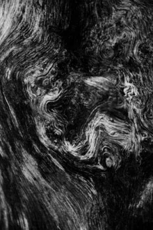 Black and white photo art: Textured tree bark in harmonious patterns