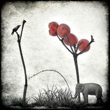 Frank Wöllnitz, le jardinier passionné (Deutschland, Europa)