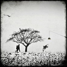 Frank Wöllnitz, Stroll in the afternoon - Germany, Europe)