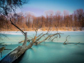 Photo art by Harald Tüchler: frozen lake surrounded by trees in winter