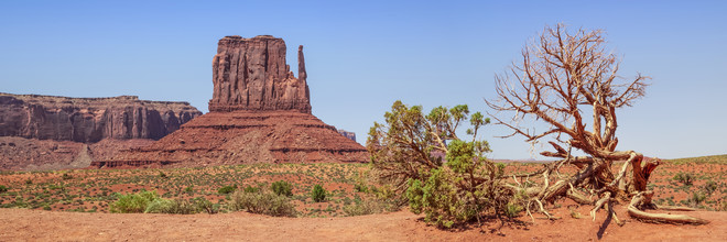Melanie Viola, MONUMENT VALLEY Sentinel Mesa & West Mitten Butte